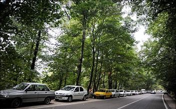 یک دهه سکوت برابر مصوبه خروج جاده از پارک ملی گلستان / خروج جاده از پارک ملی گلستان کلید خورد